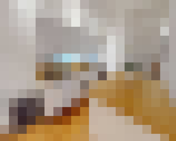  / #17