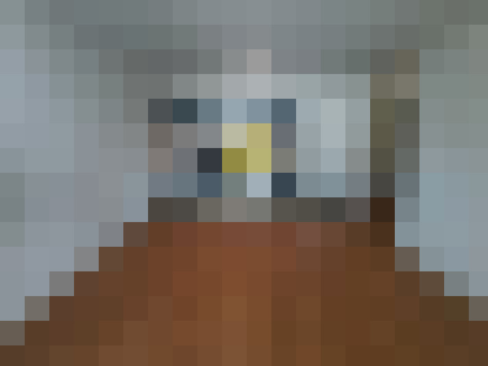  / #7