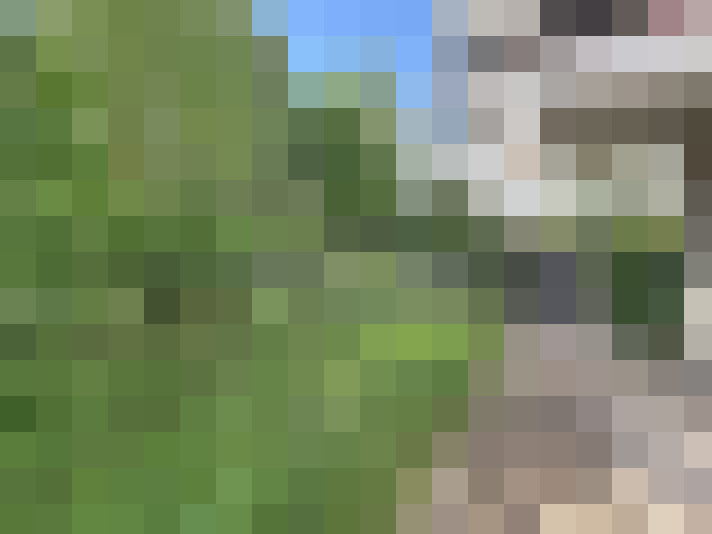  / #11