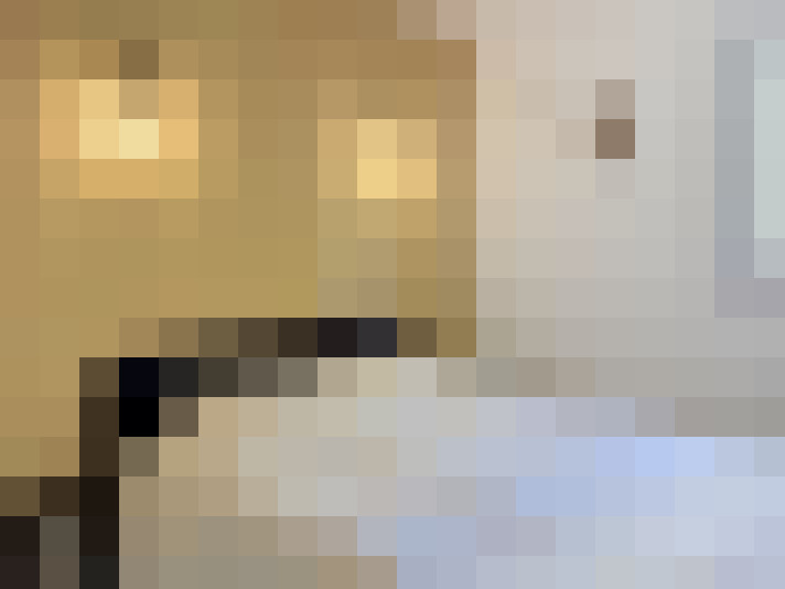  / #9