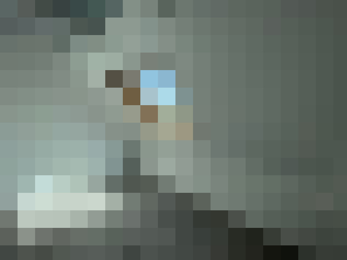  / #9