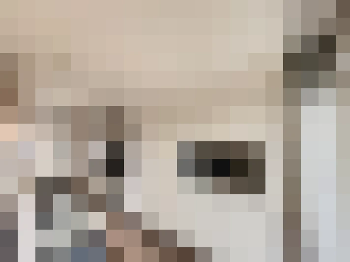  / #12