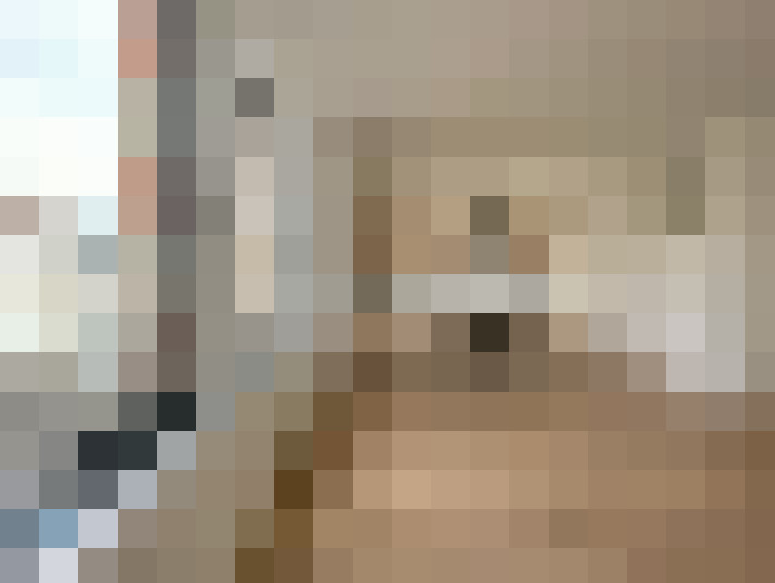  / #7