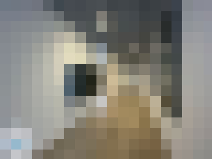  / #15