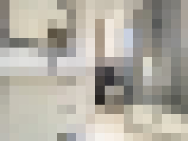  / #23