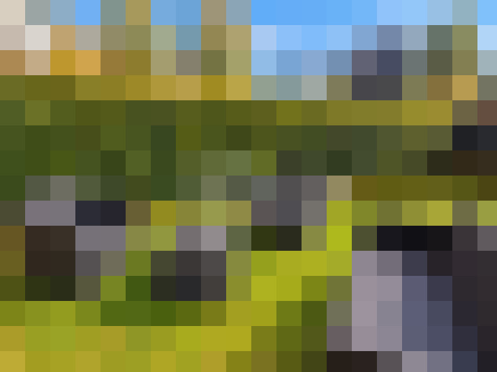  / #7