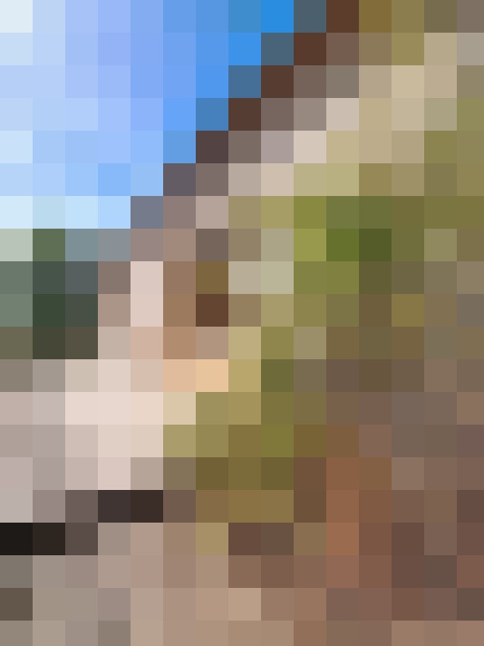  / #7