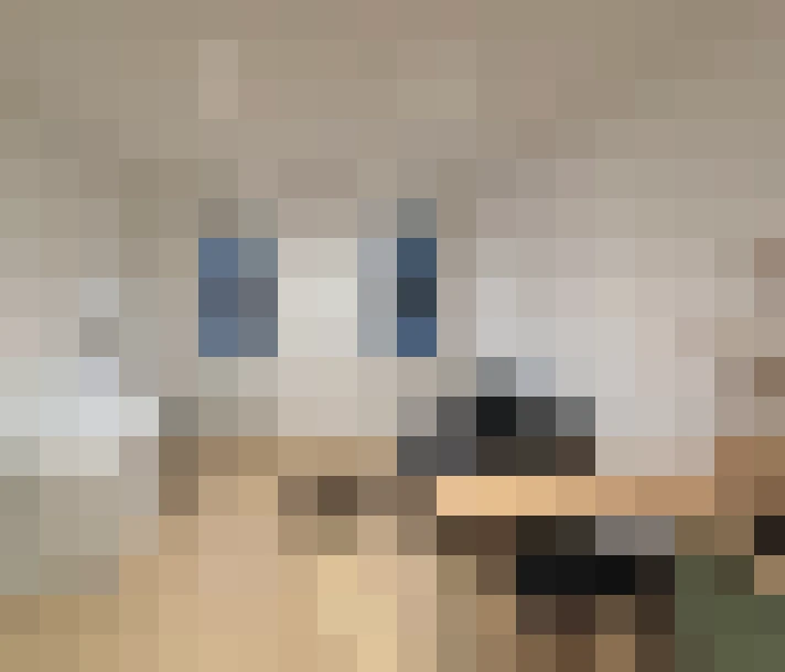  / #6