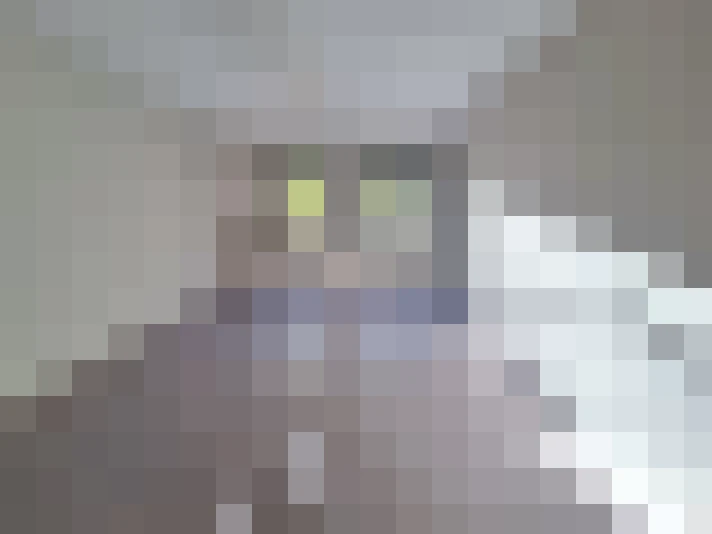  / #8