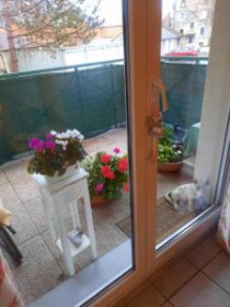 Appartement à Seloncourt