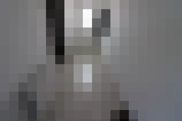  / #12
