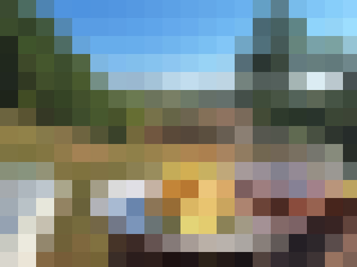  / #7