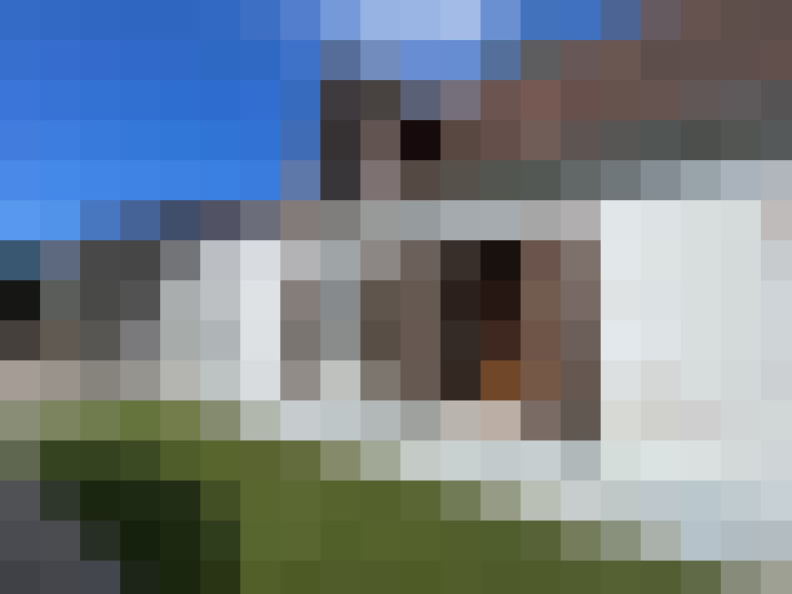  / #15