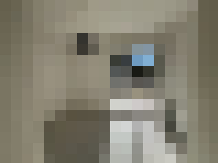  / #6