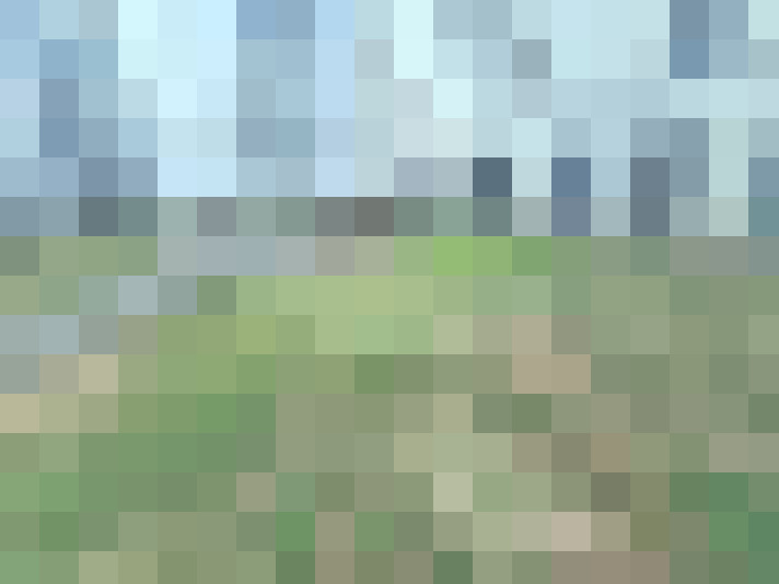  / #18