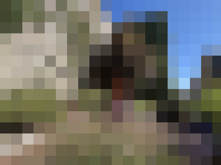  / #7