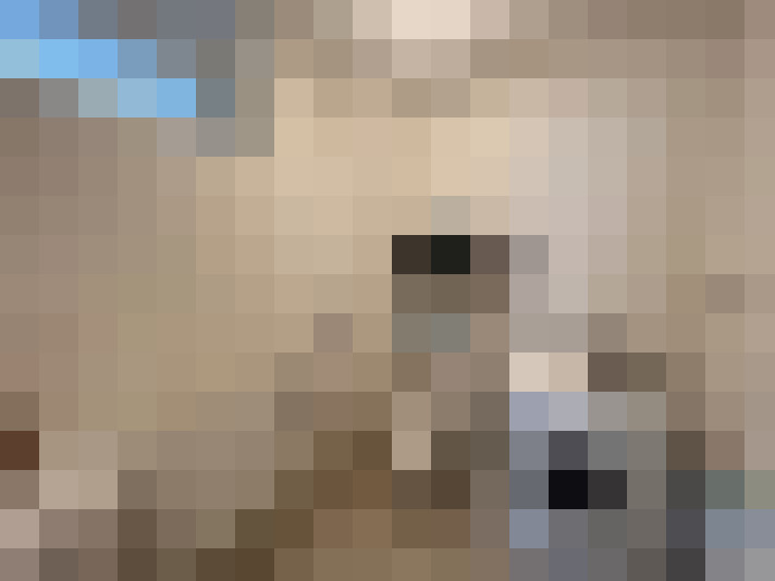  / #5
