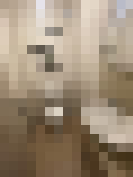  / #8