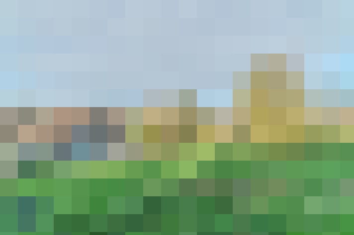 / #7
