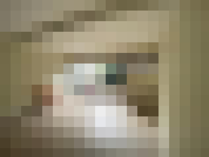  / #8