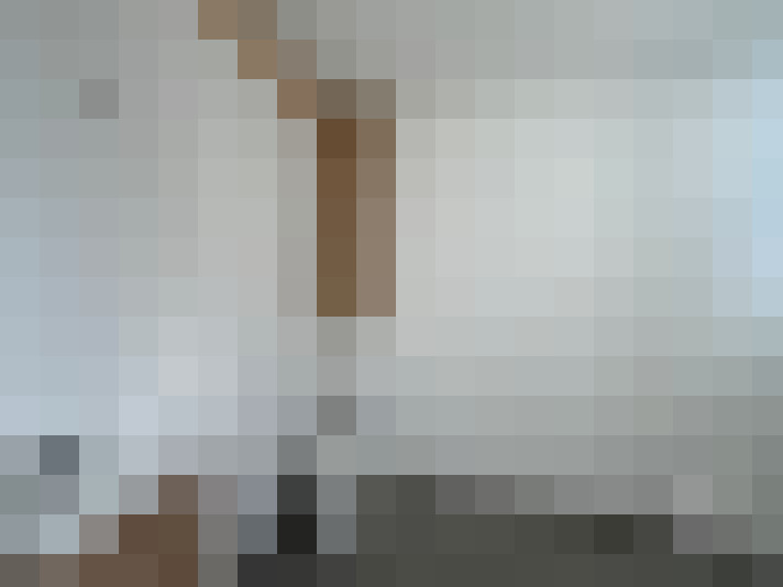  / #15