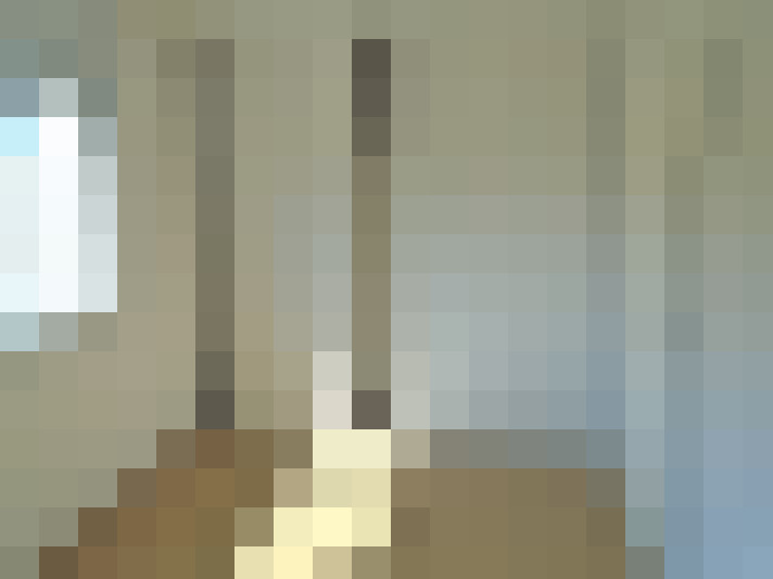  / #6