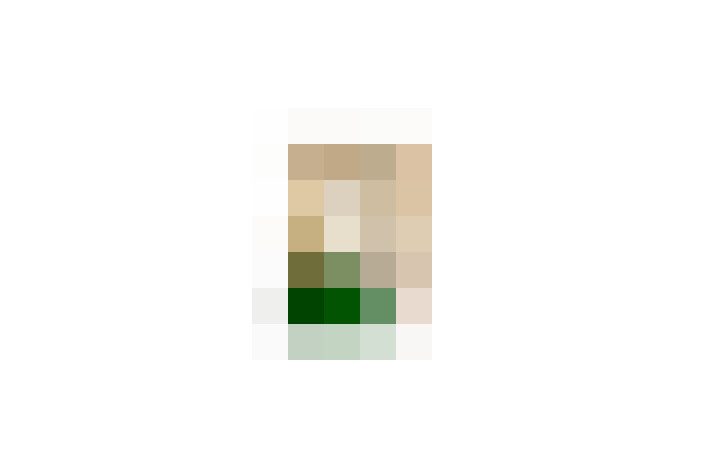  / #7