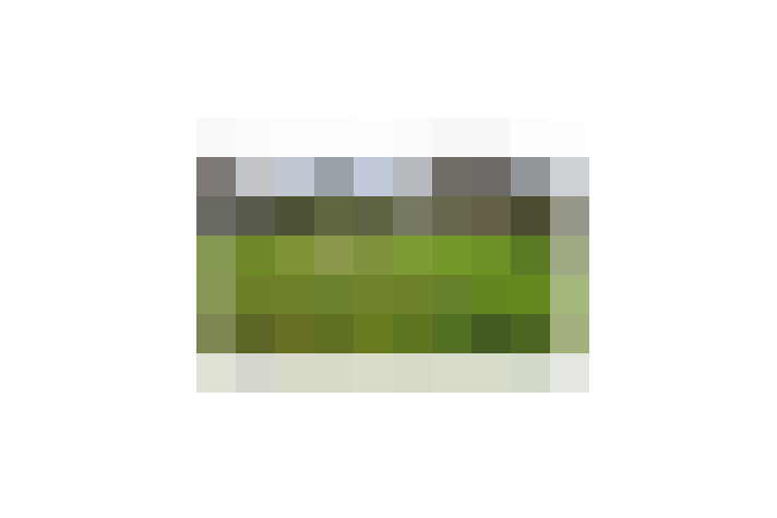  / #14