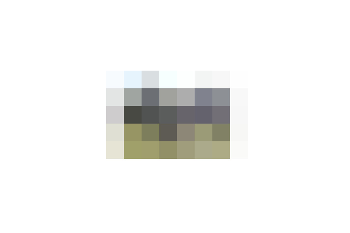  / #15