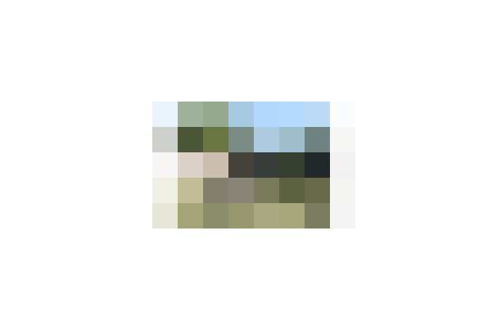  / #16