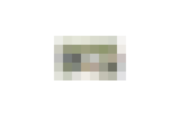  / #18