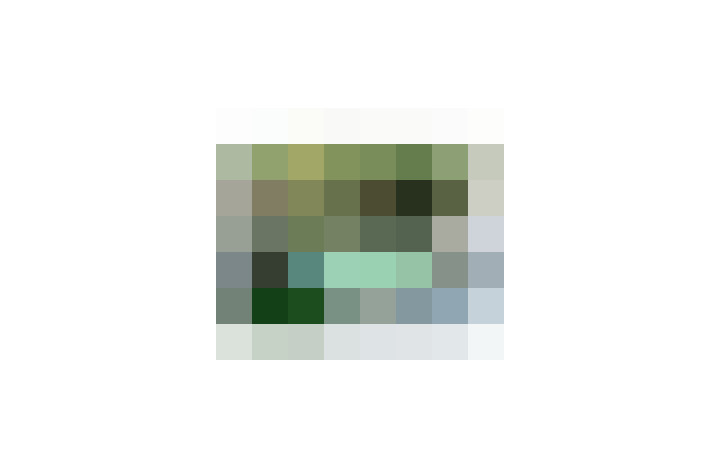  / #10