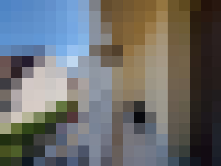  / #12