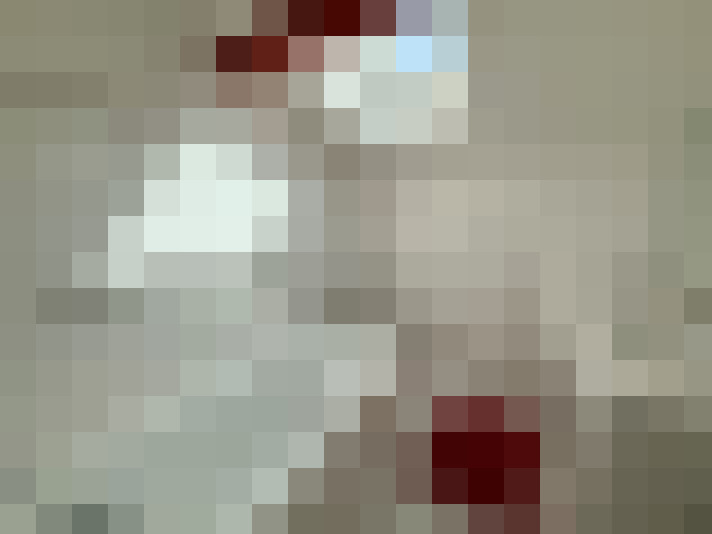  / #8