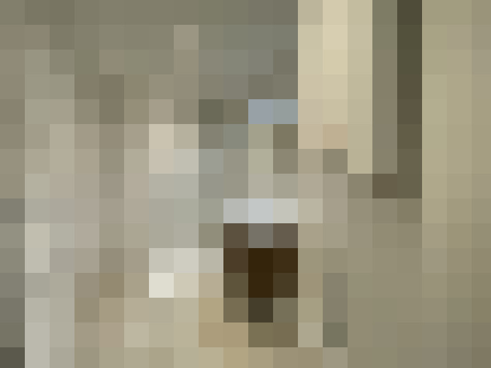  / #8