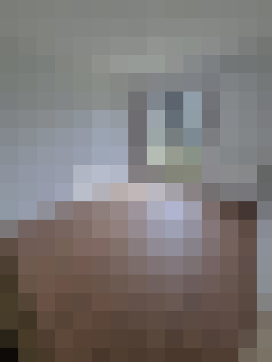  / #11
