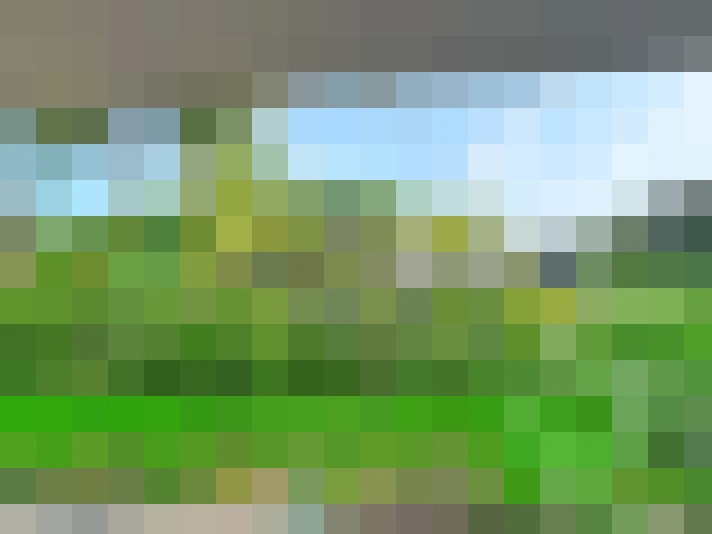  / #12