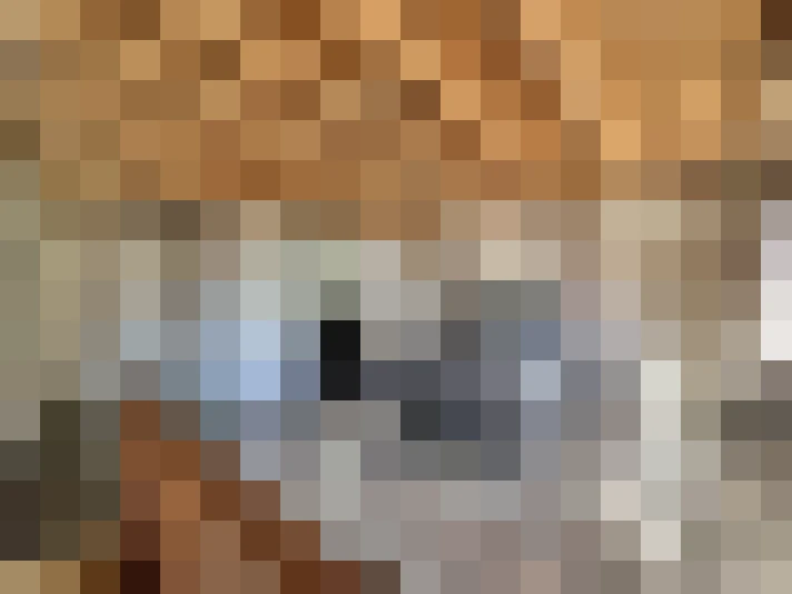  / #16