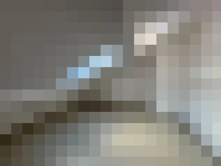  / #17