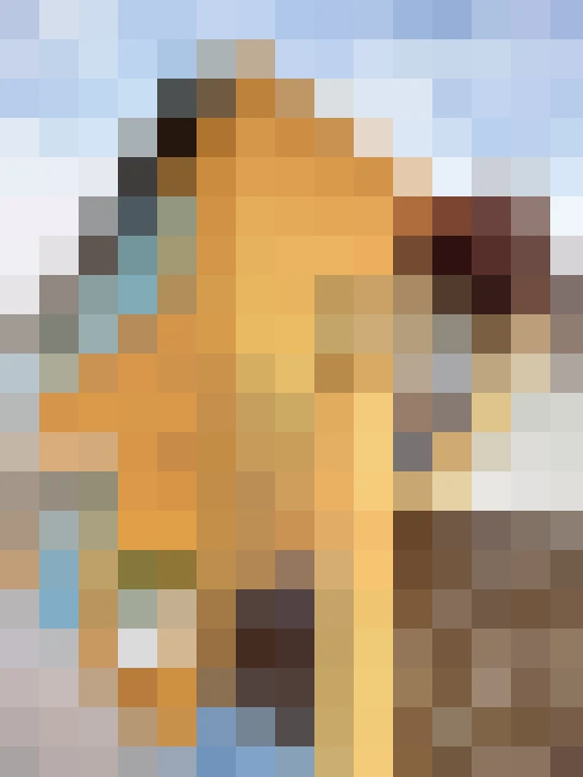  / #8