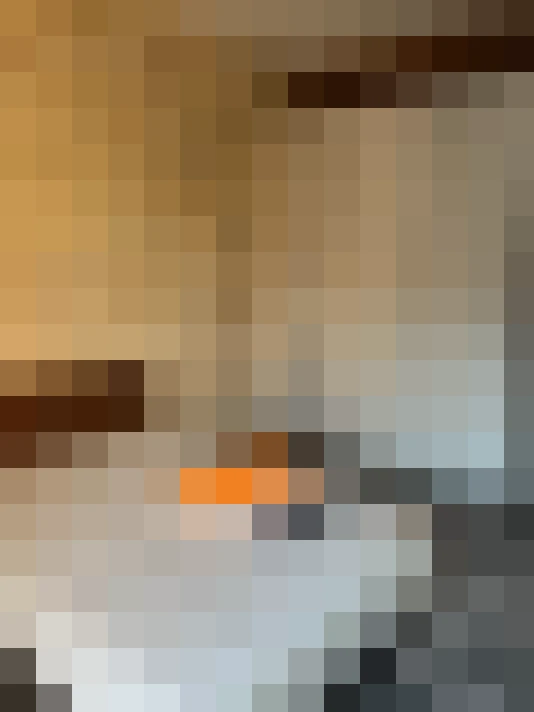  / #13