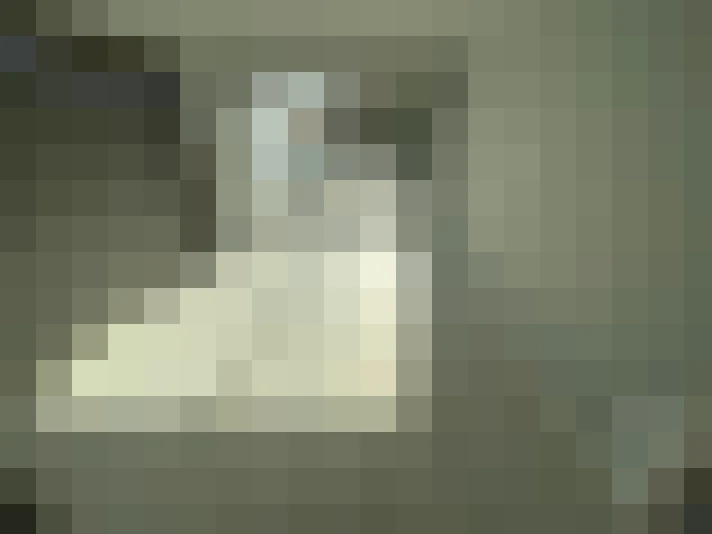  / #6