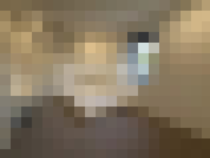  / #24
