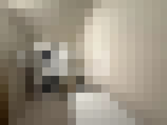  / #13