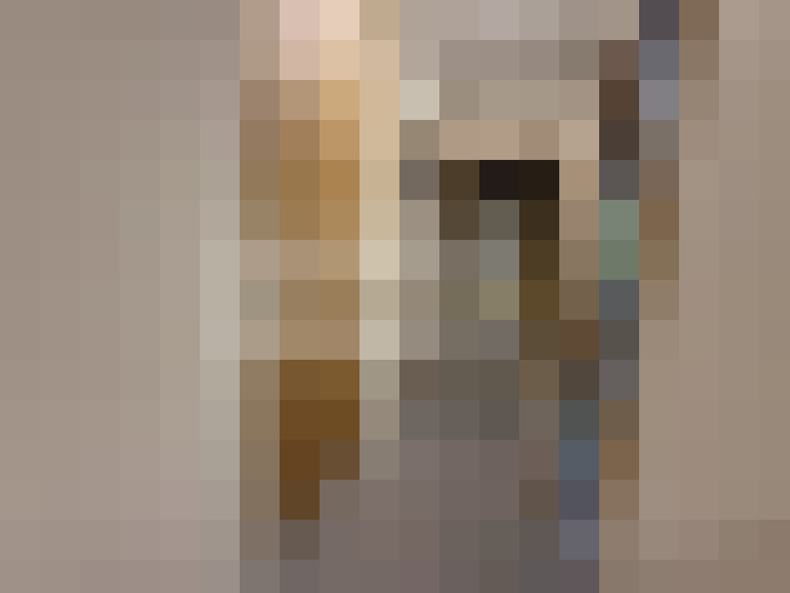  / #22