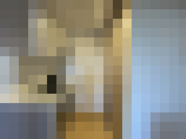  / #8