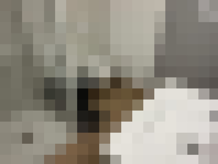  / #20