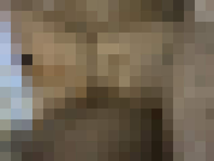  / #15