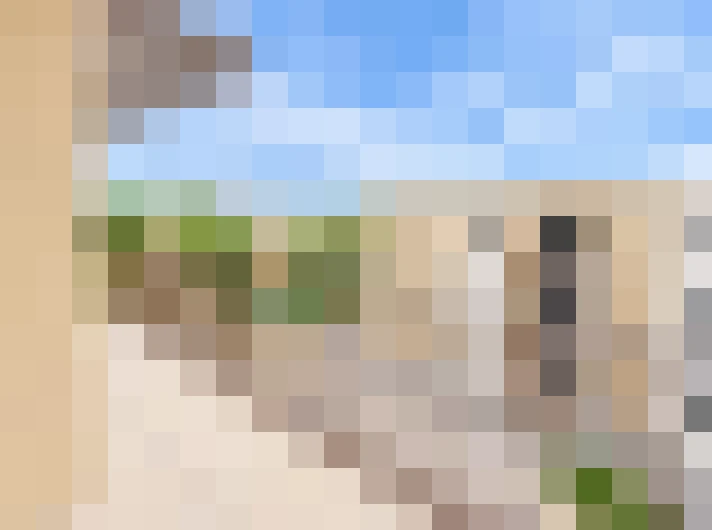  / #7