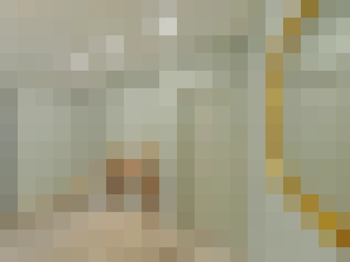  / #6